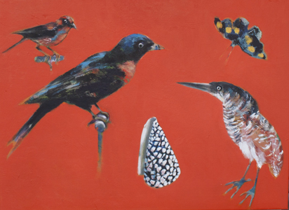 Birds, Shell & Butterfly